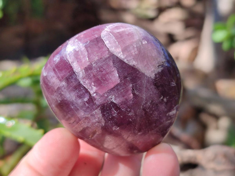 Polished Rare Anhydrite Free Forms x 24 Tulear, Madagascar - Toprock Gemstones and Minerals 