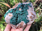 Natural Ball Malachite Specimen on White Quartz and Dolomite x 1 From Mindingi Mine, Kambove, Congo - Toprock Gemstones and Minerals 