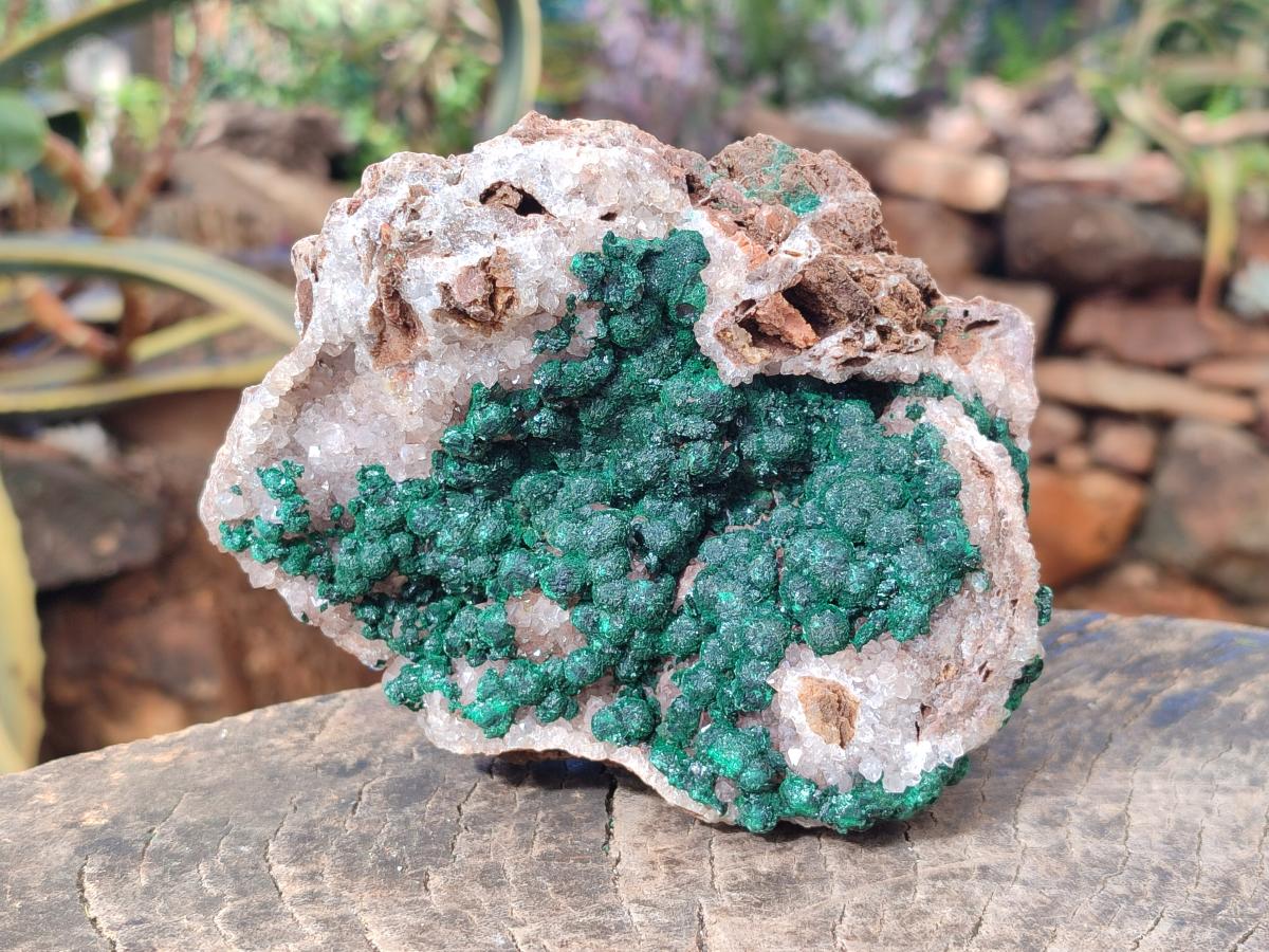 Natural Ball Malachite Specimen on White Quartz and Dolomite x 1 From Mindingi Mine, Kambove, Congo - Toprock Gemstones and Minerals 