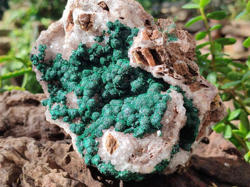Natural Ball Malachite Specimen on White Quartz and Dolomite x 1 From Mindingi Mine, Kambove, Congo - Toprock Gemstones and Minerals 