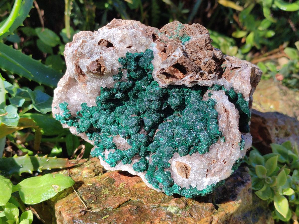 Natural Ball Malachite Specimen on White Quartz and Dolomite x 1 From Mindingi Mine, Kambove, Congo - Toprock Gemstones and Minerals 