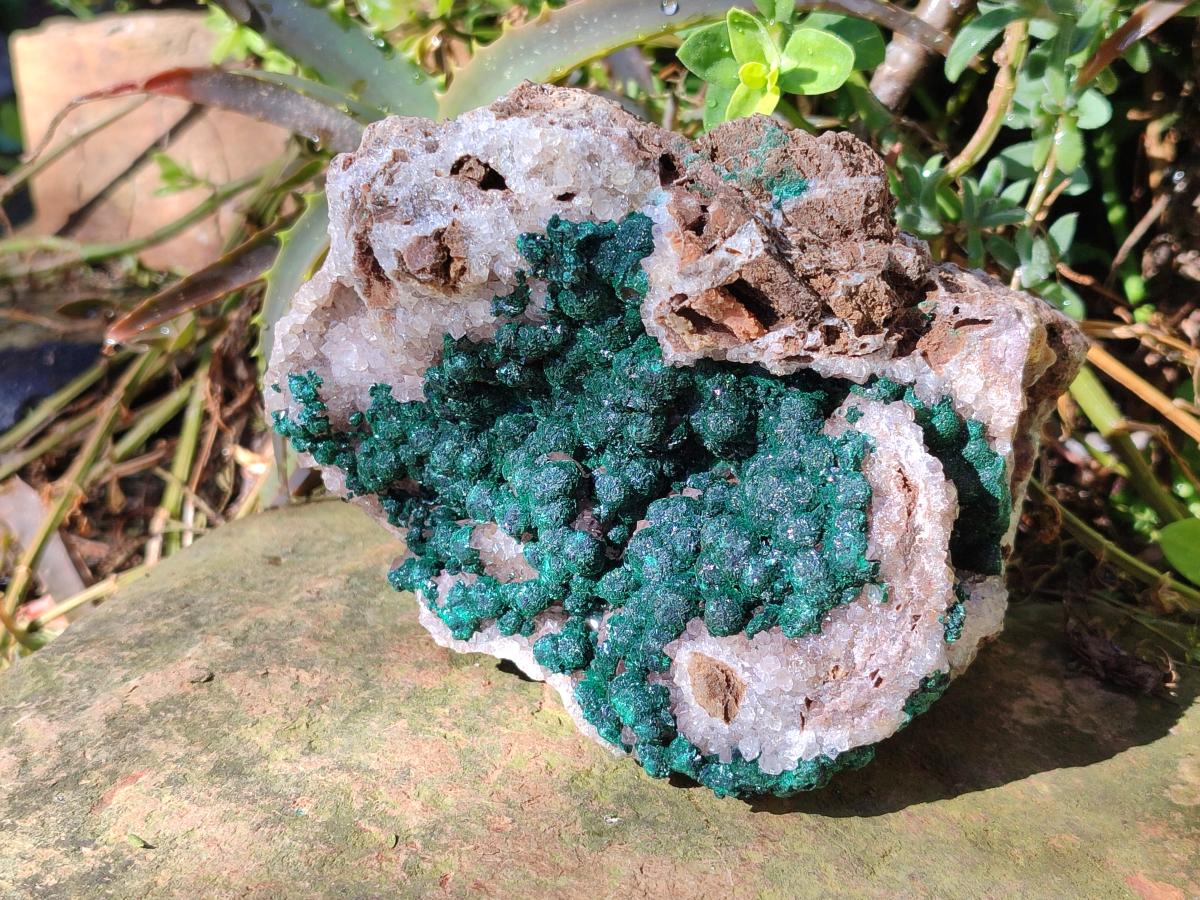 Natural Ball Malachite Specimen on White Quartz and Dolomite x 1 From Mindingi Mine, Kambove, Congo - Toprock Gemstones and Minerals 