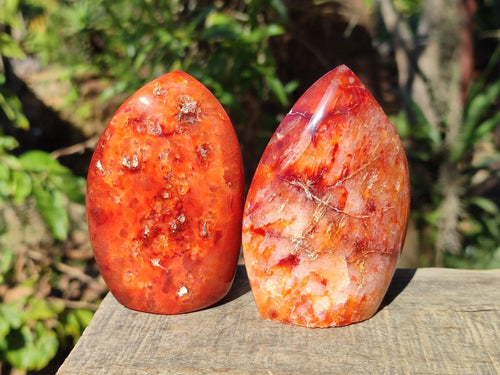 Polished Carnelian Agate Gemstone Standing Display Pieces x 6 From Madagascar - Toprock Gemstones and Minerals 