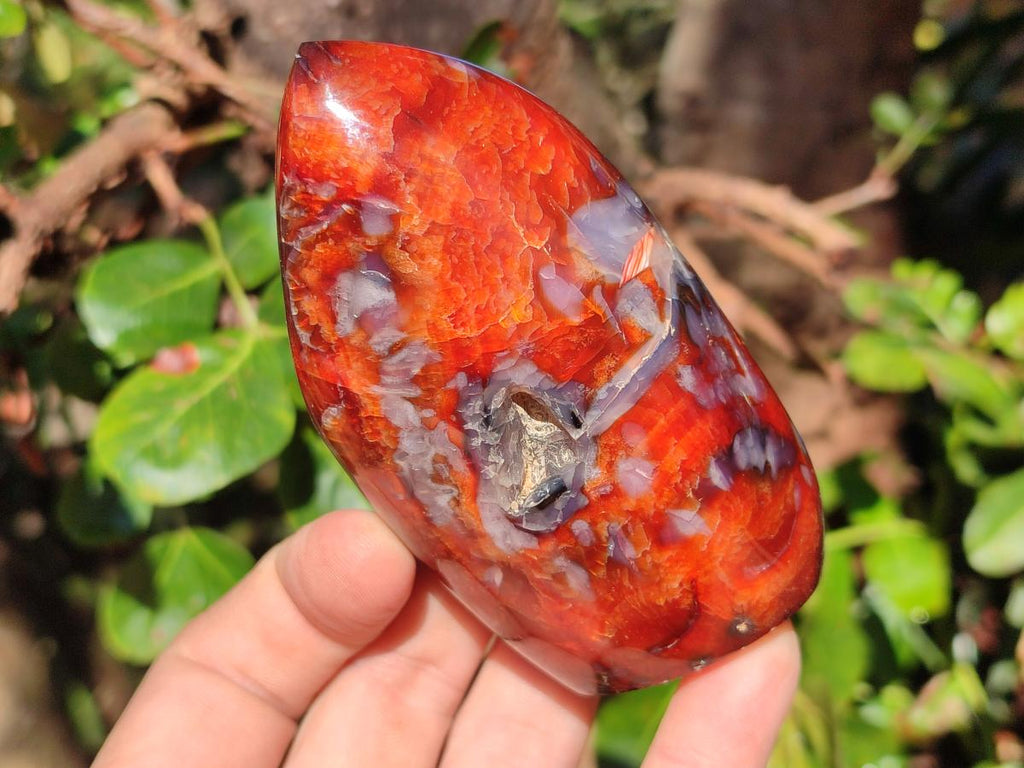 Polished Carnelian Agate Gemstone Standing Display Pieces x 6 From Madagascar - Toprock Gemstones and Minerals 