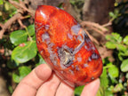 Polished Carnelian Agate Gemstone Standing Display Pieces x 6 From Madagascar - Toprock Gemstones and Minerals 