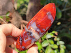 Polished Carnelian Agate Gemstone Standing Display Pieces x 6 From Madagascar - Toprock Gemstones and Minerals 