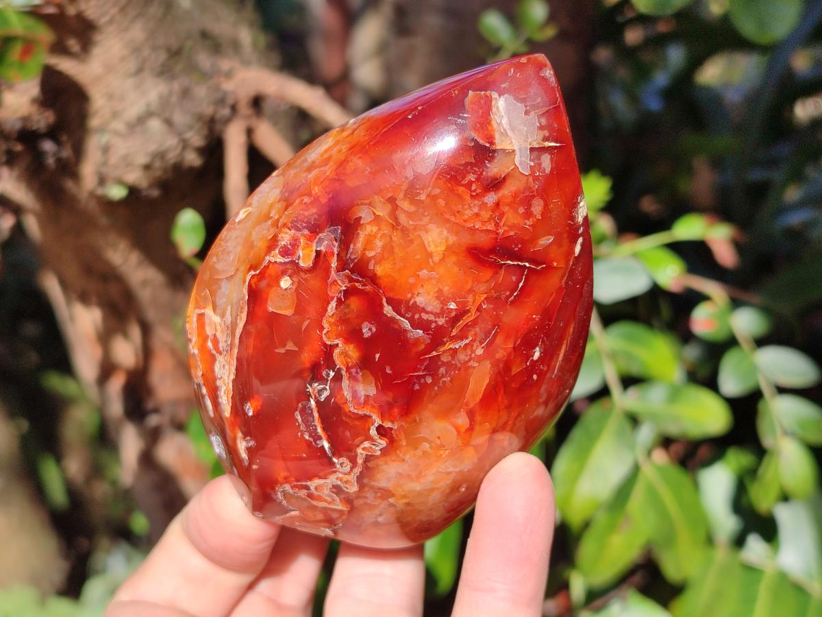 Polished Carnelian Agate Gemstone Standing Display Pieces x 6 From Madagascar - Toprock Gemstones and Minerals 