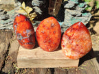 Polished Carnelian Agate Gemstone Standing Display Pieces x 6 From Madagascar - Toprock Gemstones and Minerals 