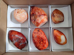 Polished Carnelian Agate Gemstone Standing Display Pieces x 6 From Madagascar - Toprock Gemstones and Minerals 