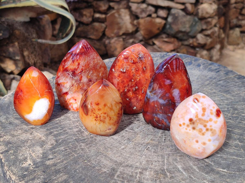 Polished Carnelian Agate Gemstone Standing Display Pieces x 6 From Madagascar - Toprock Gemstones and Minerals 