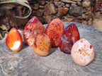 Polished Carnelian Agate Gemstone Standing Display Pieces x 6 From Madagascar - Toprock Gemstones and Minerals 