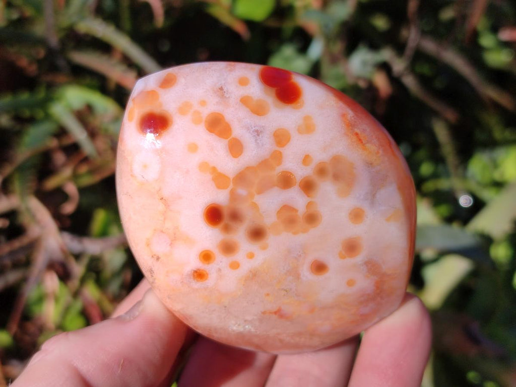 Polished Carnelian Agate Gemstone Standing Display Pieces x 6 From Madagascar - Toprock Gemstones and Minerals 