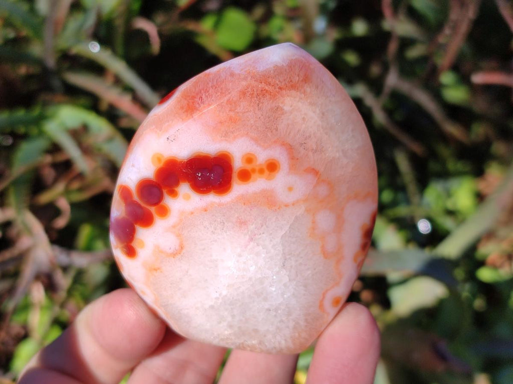 Polished Carnelian Agate Gemstone Standing Display Pieces x 6 From Madagascar - Toprock Gemstones and Minerals 