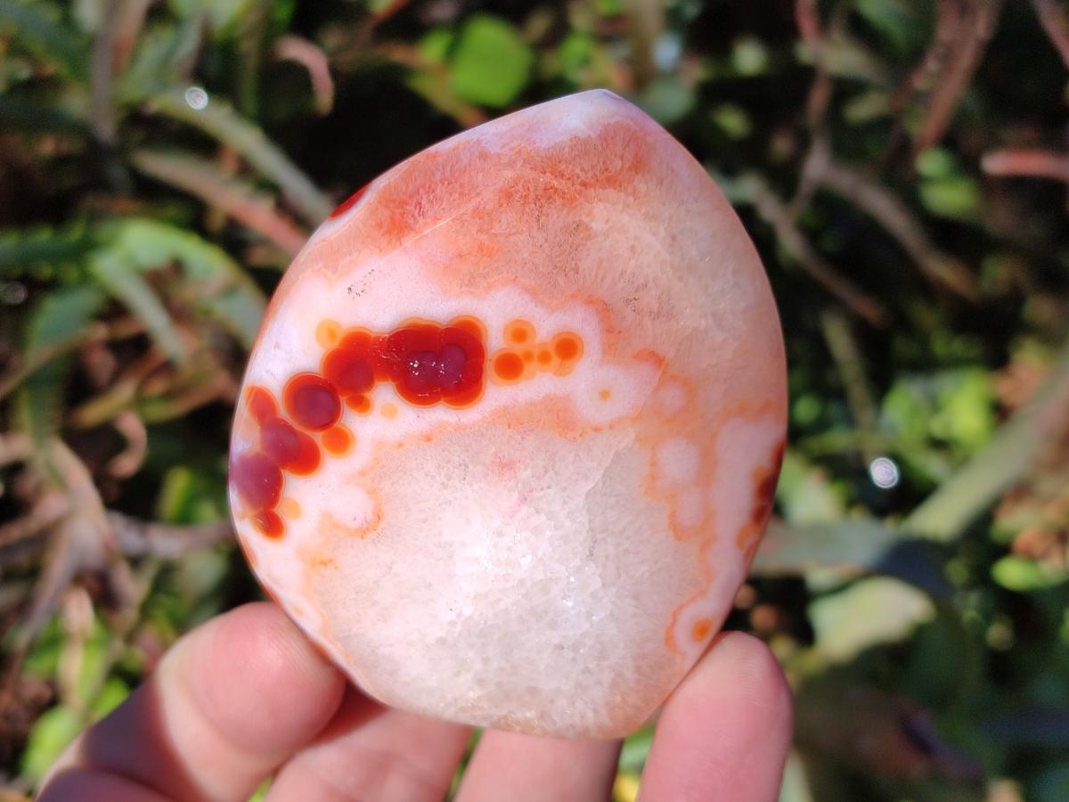 Polished Carnelian Agate Gemstone Standing Display Pieces x 6 From Madagascar - Toprock Gemstones and Minerals 