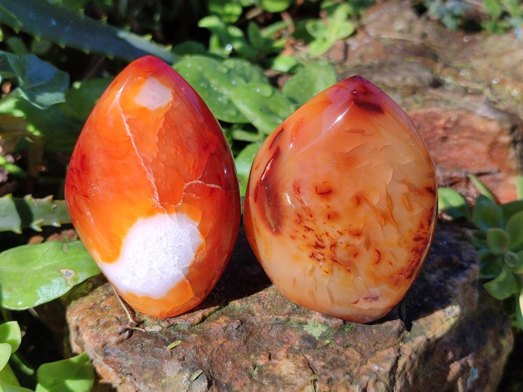 Polished Carnelian Agate Gemstone Standing Display Pieces x 6 From Madagascar - Toprock Gemstones and Minerals 