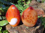 Polished Carnelian Agate Gemstone Standing Display Pieces x 6 From Madagascar - Toprock Gemstones and Minerals 