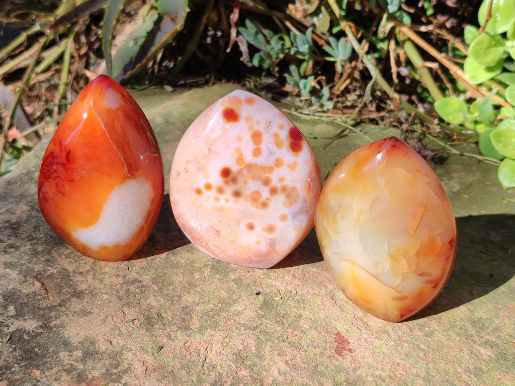 Polished Carnelian Agate Gemstone Standing Display Pieces x 6 From Madagascar - Toprock Gemstones and Minerals 