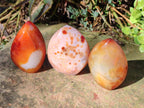 Polished Carnelian Agate Gemstone Standing Display Pieces x 6 From Madagascar - Toprock Gemstones and Minerals 