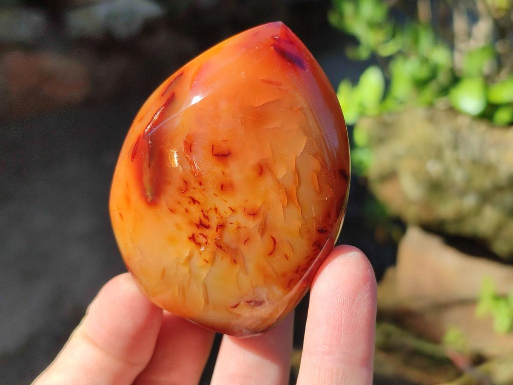 Polished Carnelian Agate Gemstone Standing Display Pieces x 6 From Madagascar - Toprock Gemstones and Minerals 