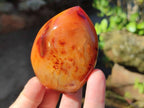 Polished Carnelian Agate Gemstone Standing Display Pieces x 6 From Madagascar - Toprock Gemstones and Minerals 