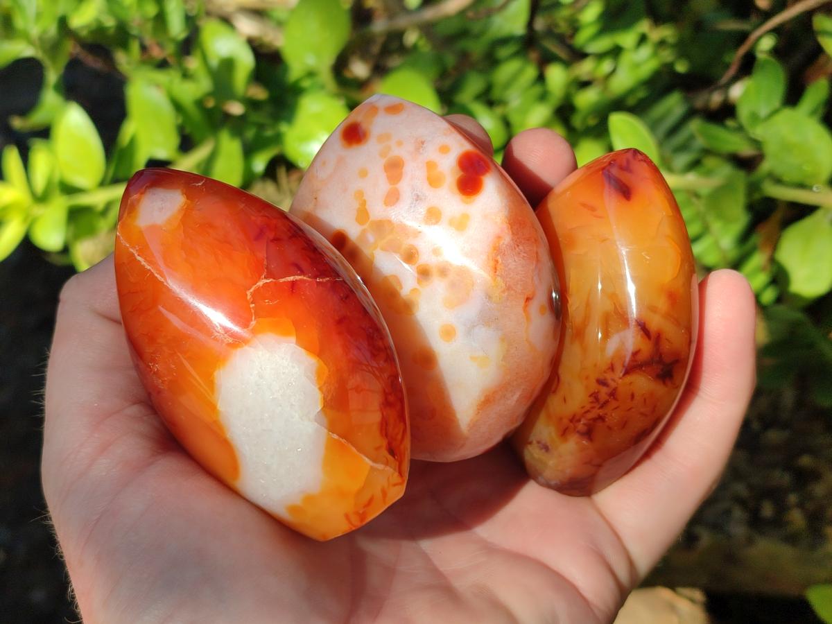 Polished Carnelian Agate Gemstone Standing Display Pieces x 6 From Madagascar - Toprock Gemstones and Minerals 