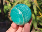 Polished Amazonite Spheres x 6 From Madagascar - Toprock Gemstones and Minerals 