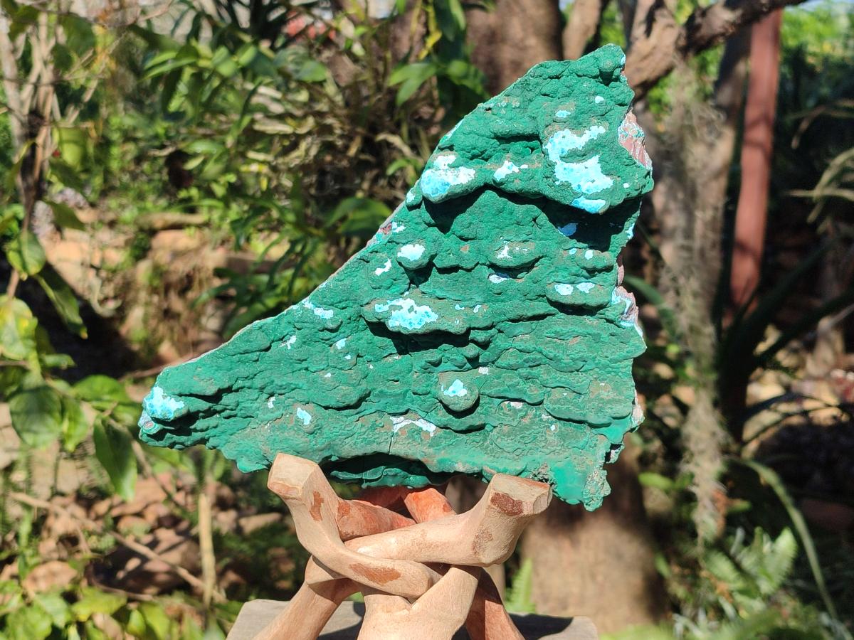 Natural Cabinet Size Botryoidal Malachite and Chrysocolla Plate Specimen x 1 From Congo - Toprock Gemstones and Minerals 