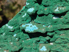 Natural Cabinet Size Botryoidal Malachite and Chrysocolla Plate Specimen x 1 From Congo - Toprock Gemstones and Minerals 