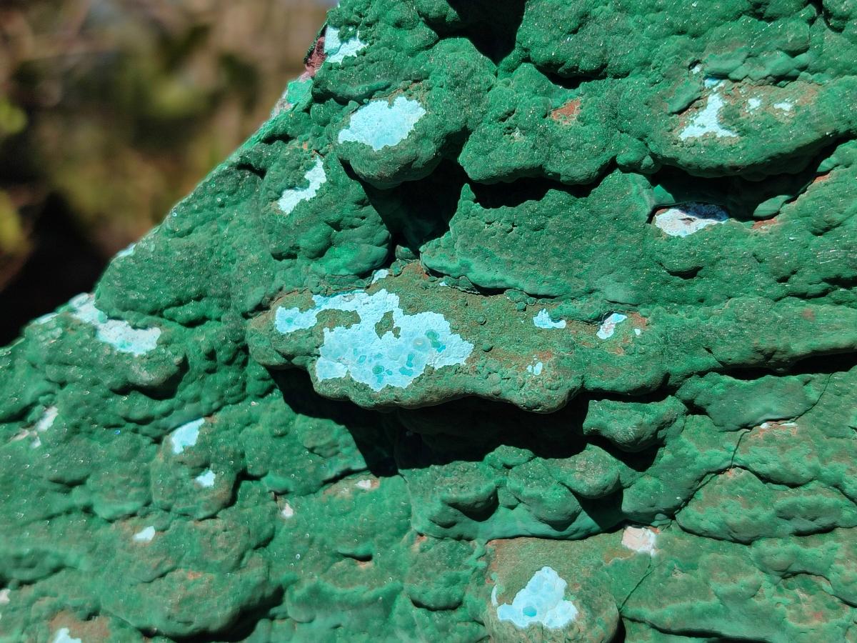 Natural Cabinet Size Botryoidal Malachite and Chrysocolla Plate Specimen x 1 From Congo - Toprock Gemstones and Minerals 