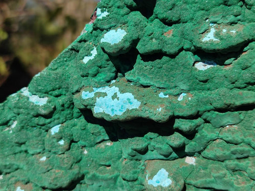 Natural Cabinet Size Botryoidal Malachite and Chrysocolla Plate Specimen x 1 From Congo - Toprock Gemstones and Minerals 