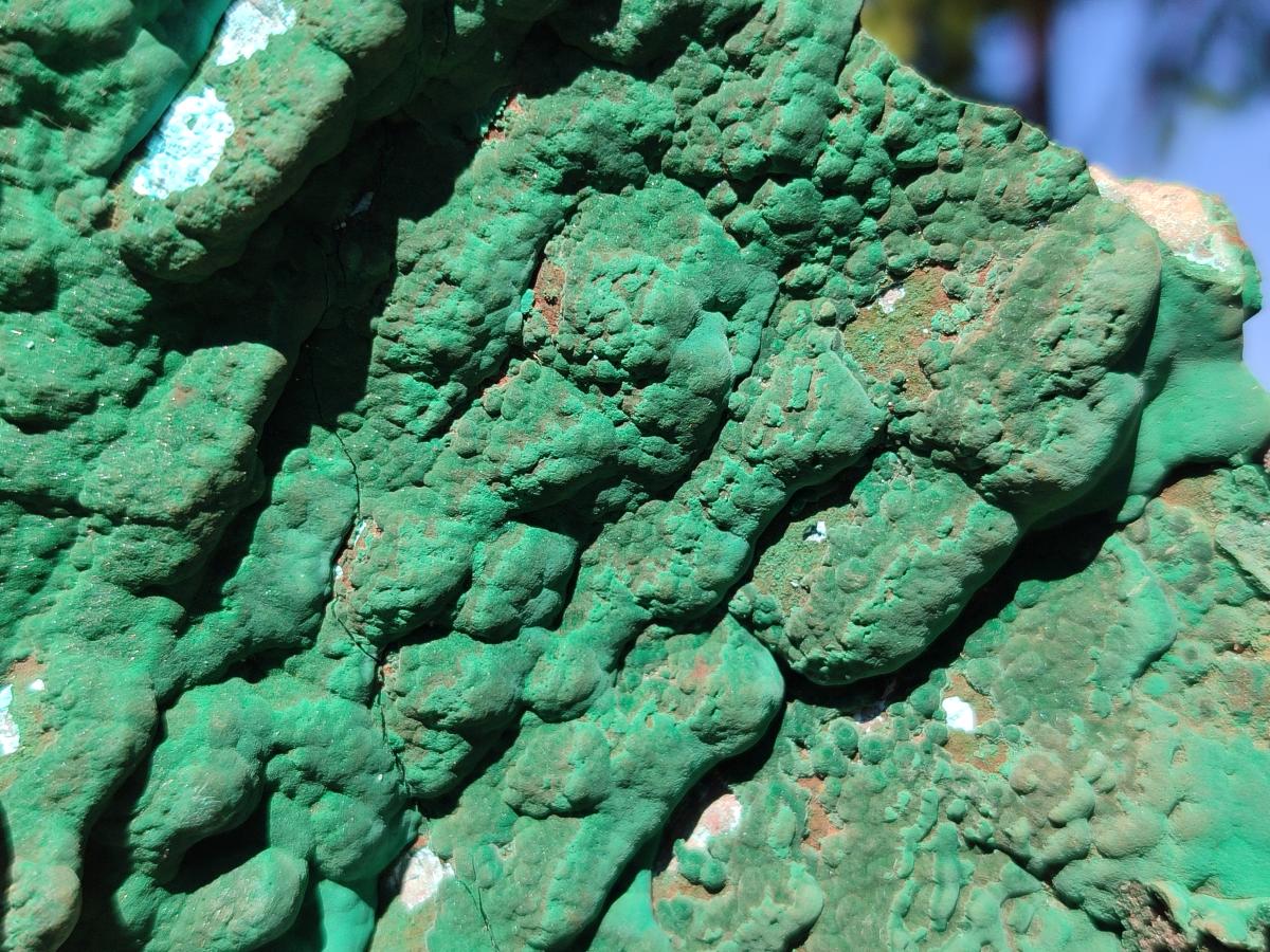 Natural Cabinet Size Botryoidal Malachite and Chrysocolla Plate Specimen x 1 From Congo - Toprock Gemstones and Minerals 