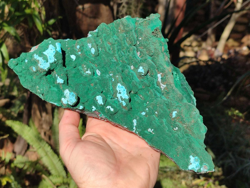 Natural Cabinet Size Botryoidal Malachite and Chrysocolla Plate Specimen x 1 From Congo - Toprock Gemstones and Minerals 