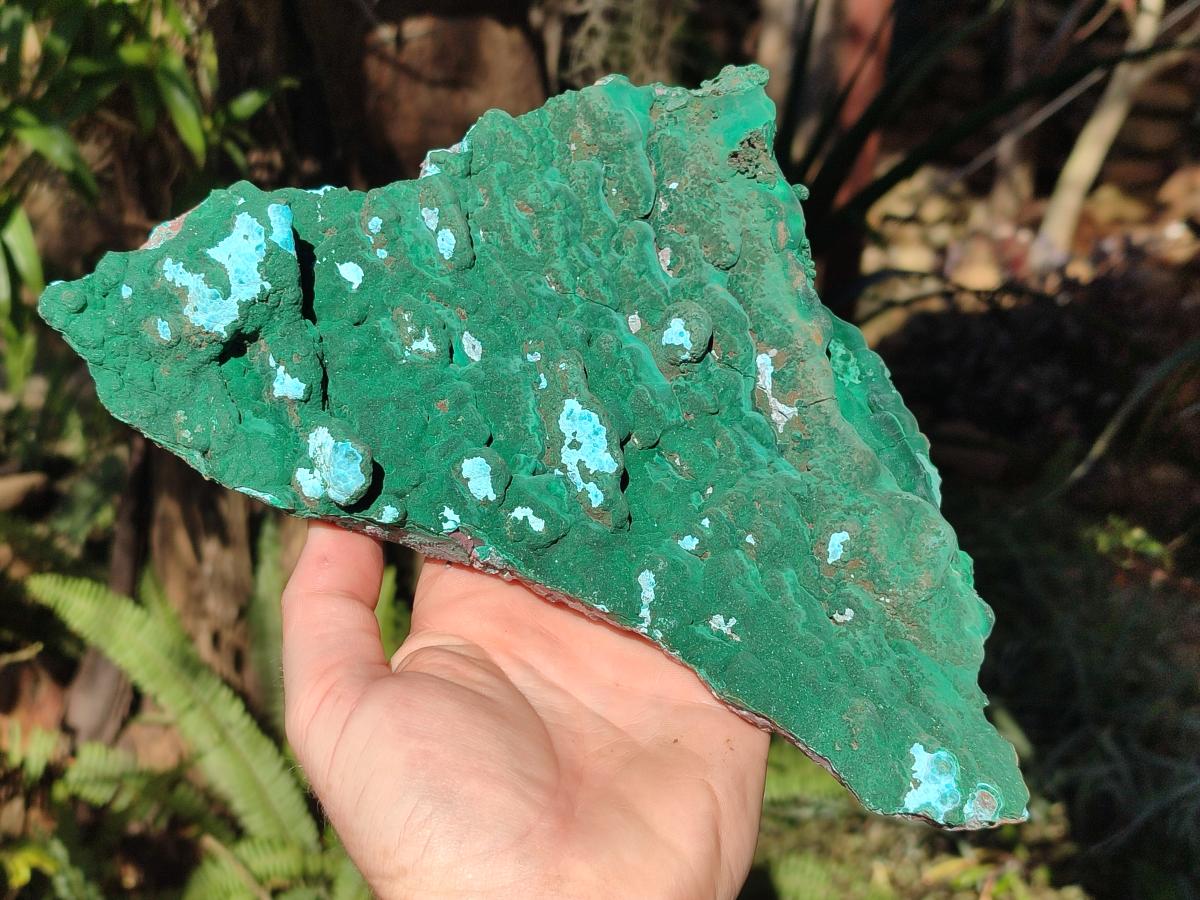 Natural Cabinet Size Botryoidal Malachite and Chrysocolla Plate Specimen x 1 From Congo - Toprock Gemstones and Minerals 