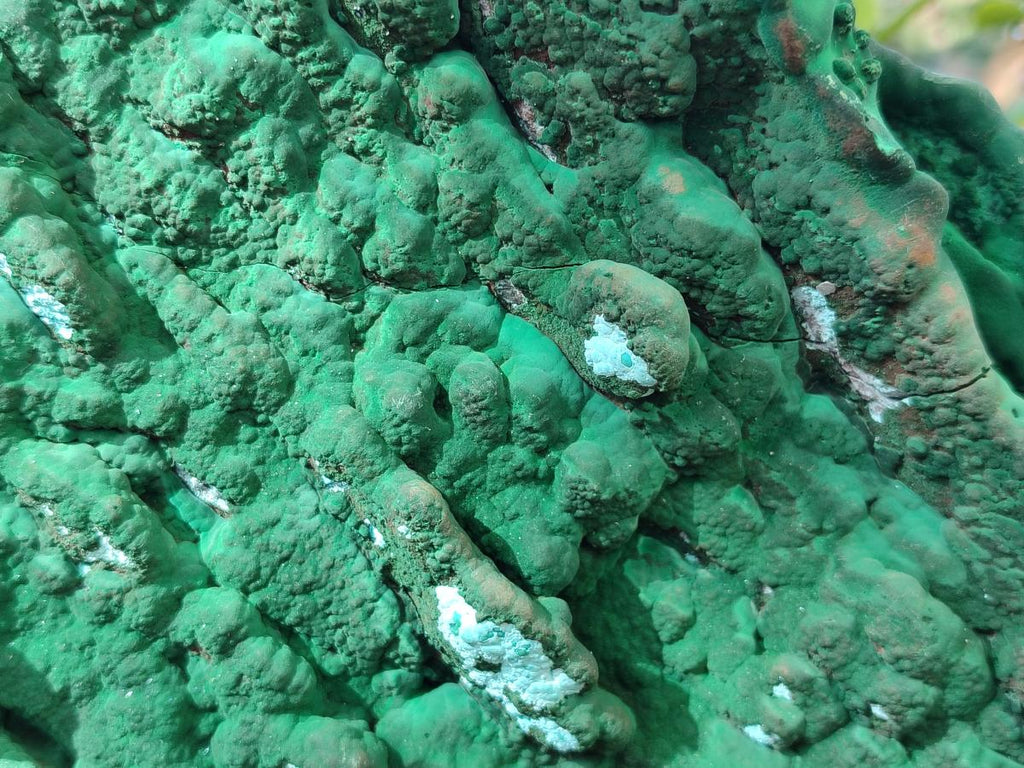 Natural Cabinet Size Botryoidal Malachite and Chrysocolla Plate Specimen x 1 From Congo - Toprock Gemstones and Minerals 