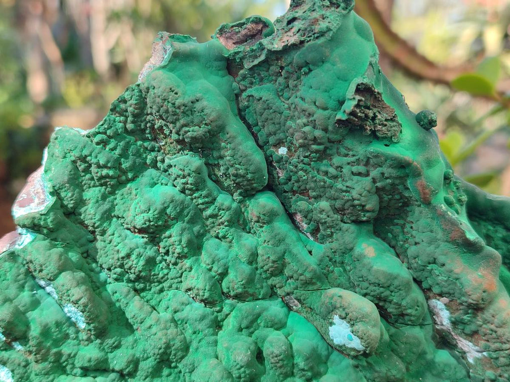 Natural Cabinet Size Botryoidal Malachite and Chrysocolla Plate Specimen x 1 From Congo - Toprock Gemstones and Minerals 