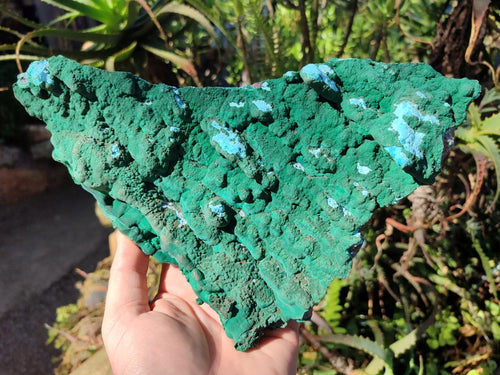 Natural Cabinet Size Botryoidal Malachite and Chrysocolla Plate Specimen x 1 From Congo - Toprock Gemstones and Minerals 