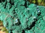 Natural Cabinet Size Botryoidal Malachite and Chrysocolla Plate Specimen x 1 From Congo - Toprock Gemstones and Minerals 