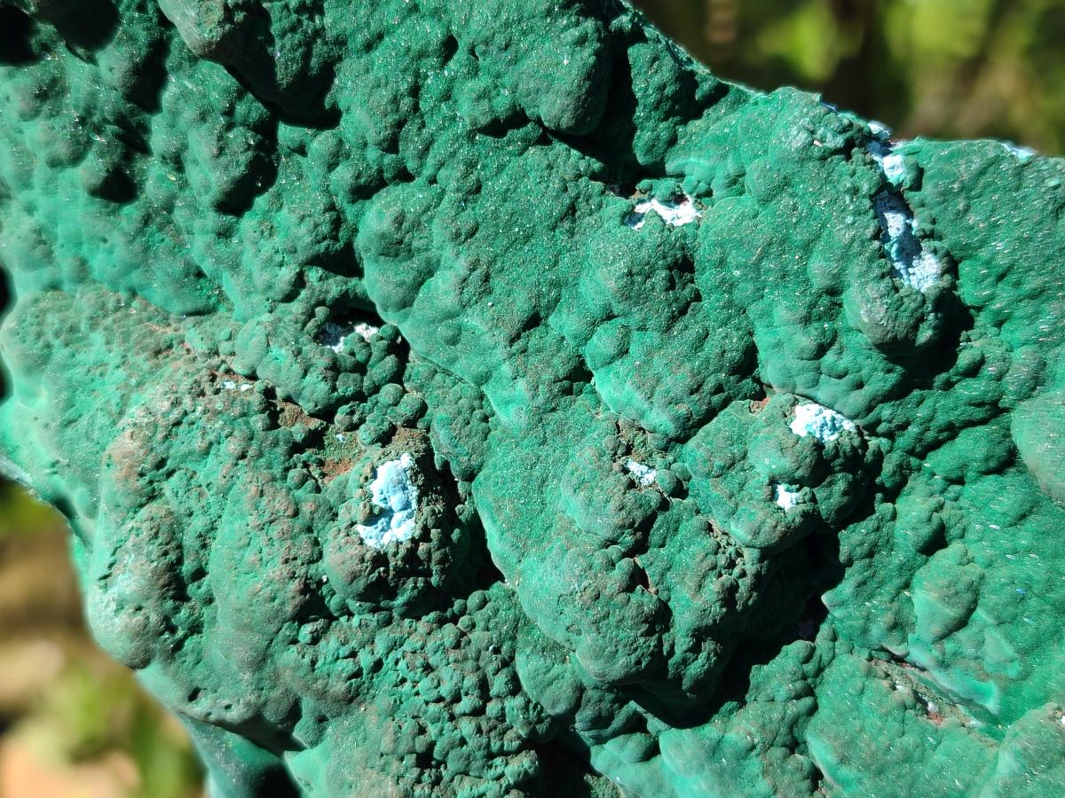 Natural Cabinet Size Botryoidal Malachite and Chrysocolla Plate Specimen x 1 From Congo - Toprock Gemstones and Minerals 