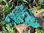 Natural Cabinet Size Botryoidal Malachite and Chrysocolla Plate Specimen x 1 From Congo - Toprock Gemstones and Minerals 