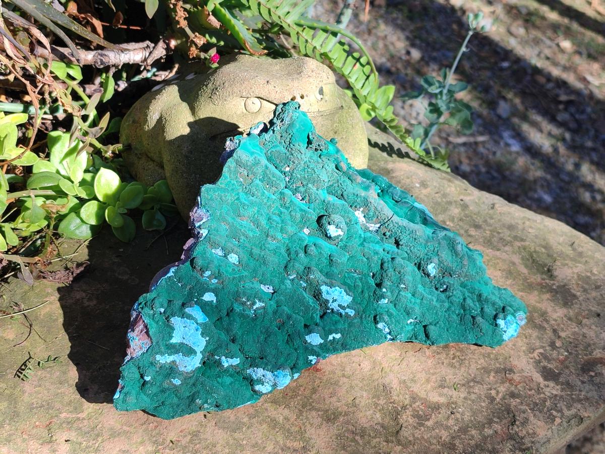 Natural Cabinet Size Botryoidal Malachite and Chrysocolla Plate Specimen x 1 From Congo - Toprock Gemstones and Minerals 