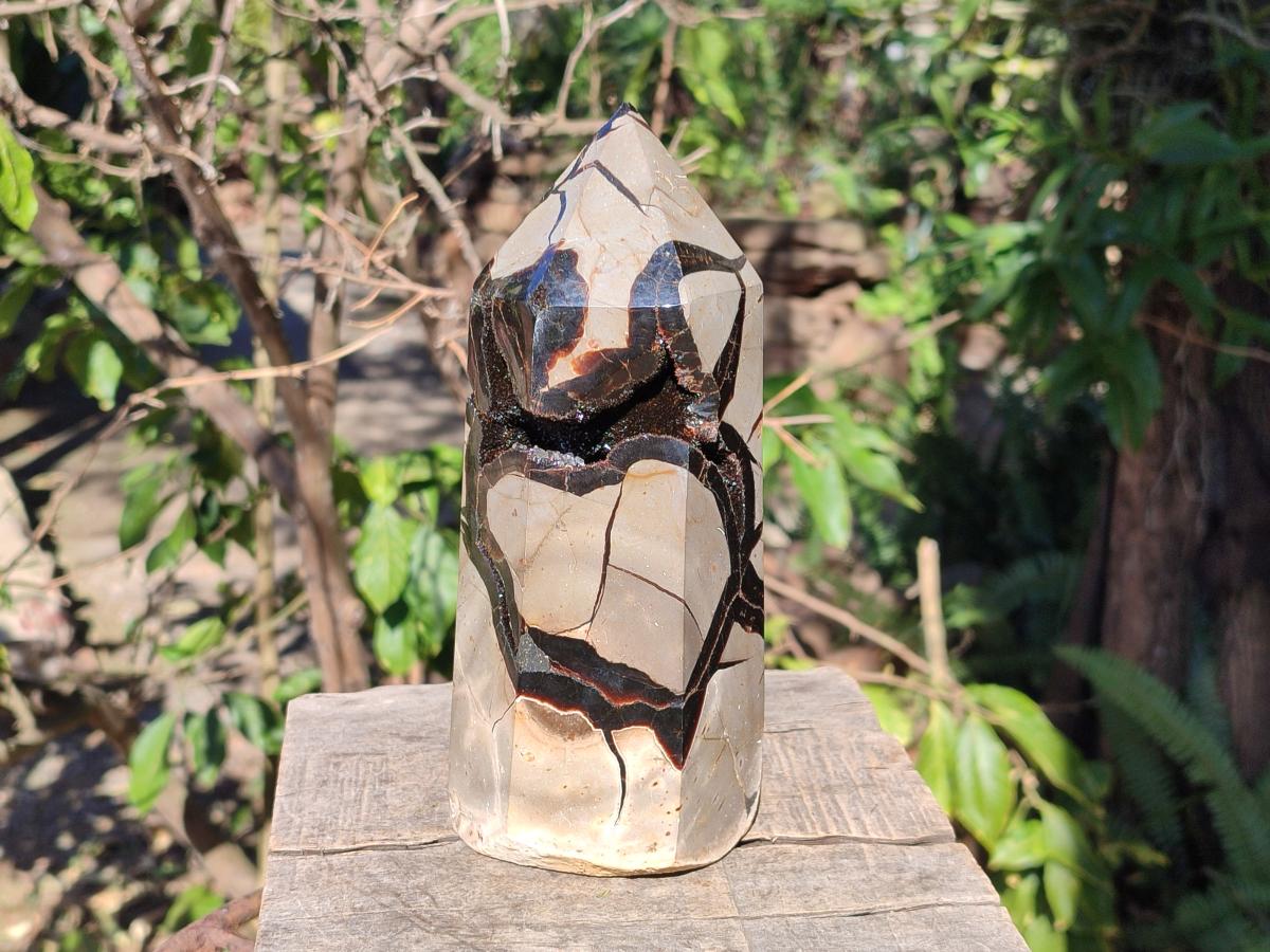 Polished Large Septerye Sauvage Display Crystal x 1 From Mahajanga, Madagascar - Toprock Gemstones and Minerals 
