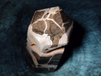 Polished Large Septerye Sauvage Display Crystal x 1 From Mahajanga, Madagascar - Toprock Gemstones and Minerals 