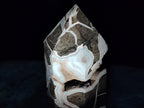 Polished Large Septerye Sauvage Display Crystal x 1 From Mahajanga, Madagascar - Toprock Gemstones and Minerals 
