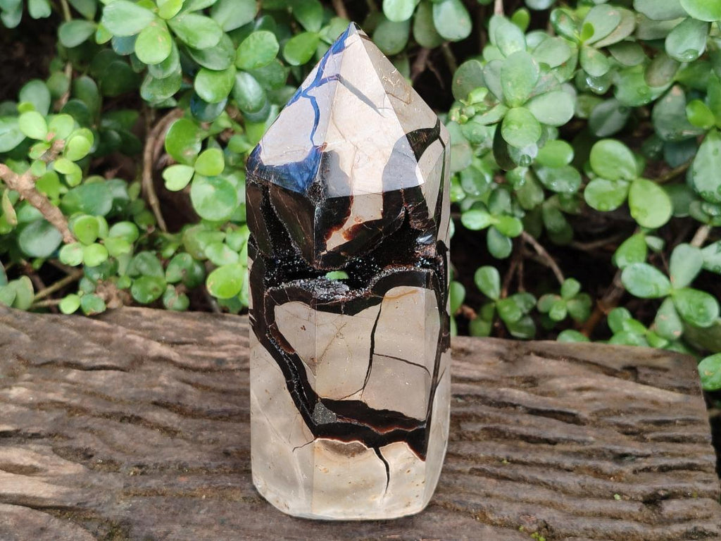 Polished Large Septerye Sauvage Display Crystal x 1 From Mahajanga, Madagascar - Toprock Gemstones and Minerals 