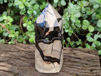 Polished Large Septerye Sauvage Display Crystal x 1 From Mahajanga, Madagascar - Toprock Gemstones and Minerals 
