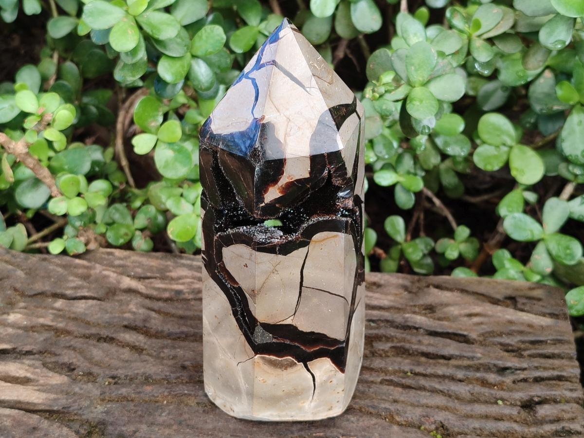 Polished Large Septerye Sauvage Display Crystal x 1 From Mahajanga, Madagascar - Toprock Gemstones and Minerals 