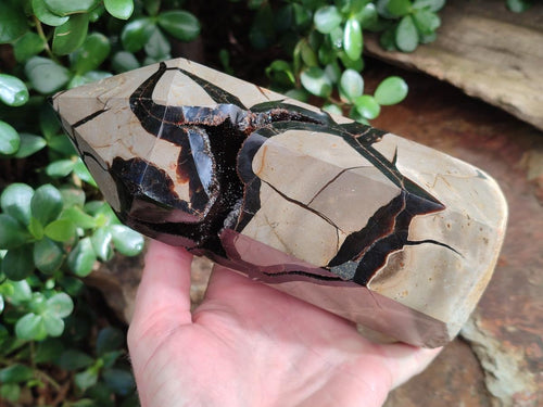 Polished Large Septerye Sauvage Display Crystal x 1 From Mahajanga, Madagascar - Toprock Gemstones and Minerals 