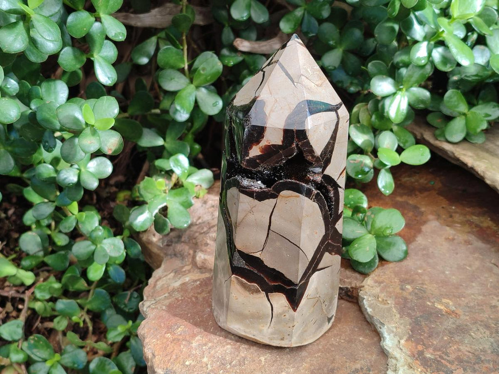 Polished Large Septerye Sauvage Display Crystal x 1 From Mahajanga, Madagascar - Toprock Gemstones and Minerals 