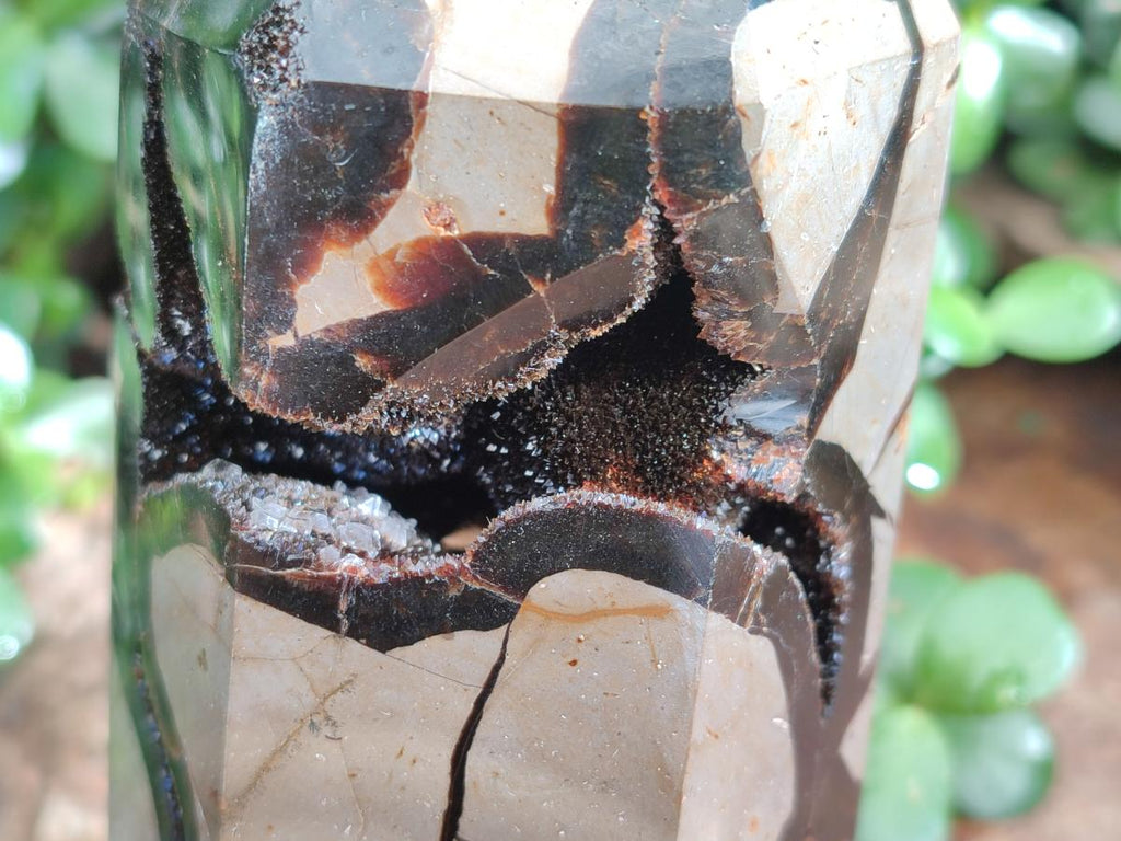 Polished Large Septerye Sauvage Display Crystal x 1 From Mahajanga, Madagascar - Toprock Gemstones and Minerals 