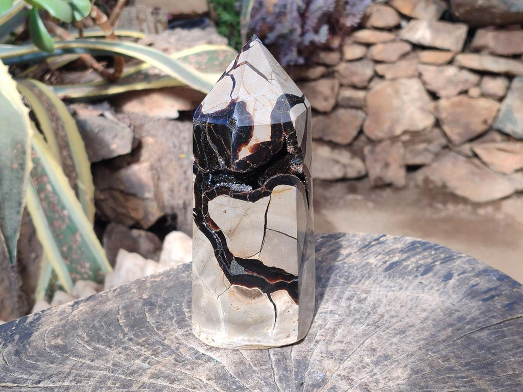 Polished Large Septerye Sauvage Display Crystal x 1 From Mahajanga, Madagascar - Toprock Gemstones and Minerals 